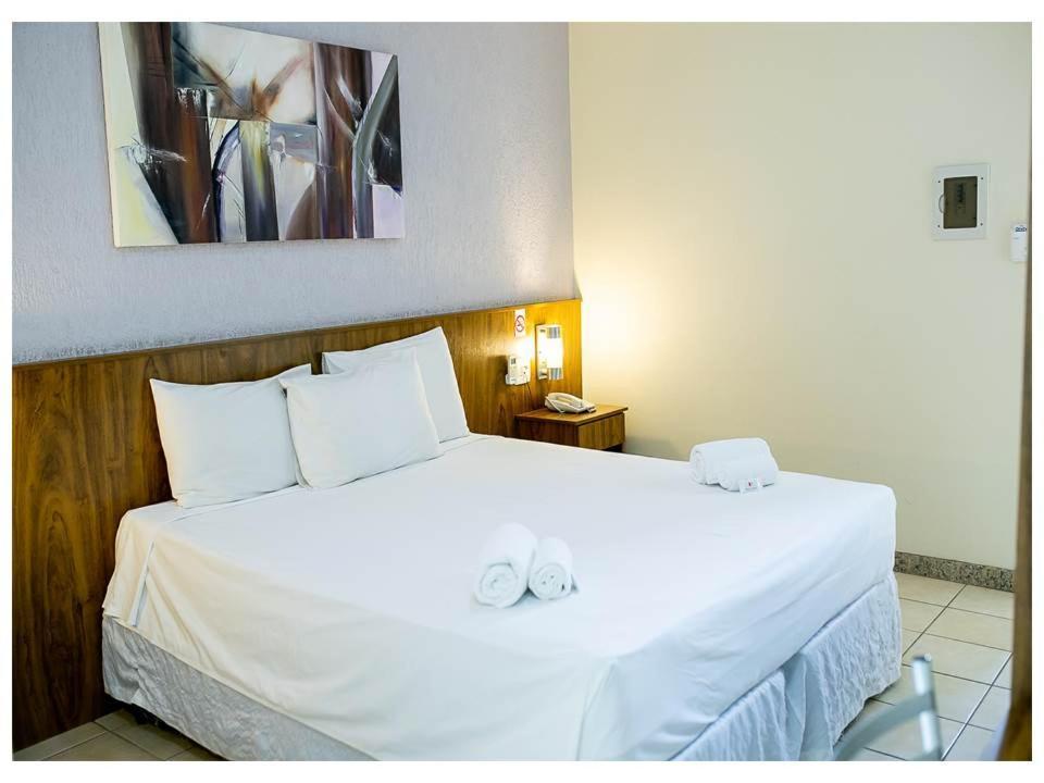 Steel Valley Hotel Ipatinga Bagian luar foto